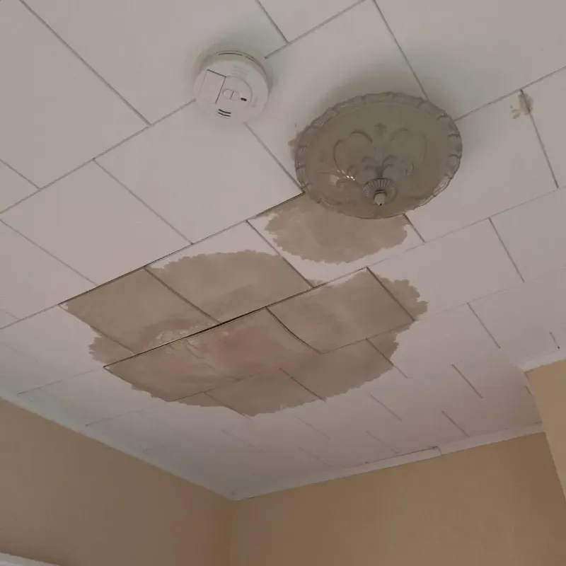 Ceiling Water Damage Repair in Lonsdale, MN